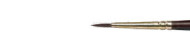 Brushes Gallery short handel round, Winsor&Newton
