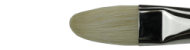 Winsor&Newton pędzle winton seria filbert