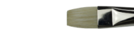 Brushes Winton, series Filbert, Winsor&Newton