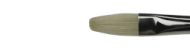 Winsor&Newton pędzle winton seria filbert