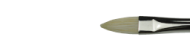 Brushes Winton, series Filbert, Winsor&Newton