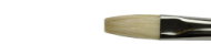 Winsor&Newton pędzle winton seria flat long