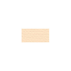 Canson papier mi-teintes A4 160g