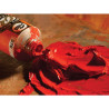 Oil Paints Talens Rembrandt 40 ml