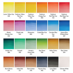 Watercolor Cotman paints painting plus 24 half pans