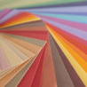 Canson papier mi-teintes 50x65 cm