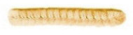 Druty chenille 6mm 30cm 25szt.