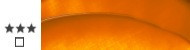 Oil paints Talens Rembrandt 150 ml